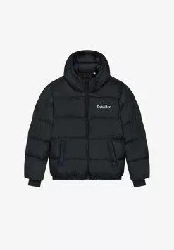 BAD AGAIN PARIS OUTSIDER EMBROIDERY PUFFER - Winterjacke - Black