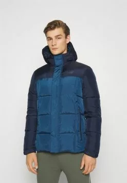 4F MENS JACKET - Winterjacke - Navy